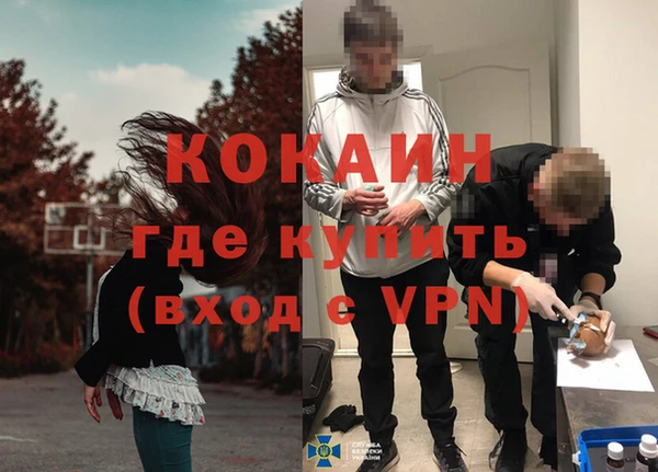 стаф Коряжма